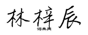 王正良林梓辰行書個性簽名怎么寫