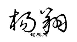 曾慶福楊翔草書個性簽名怎么寫