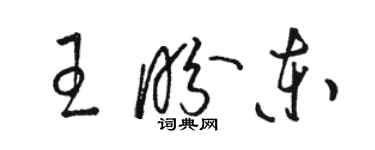 駱恆光王盼東草書個性簽名怎么寫