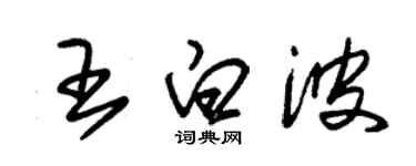 朱錫榮王白波草書個性簽名怎么寫