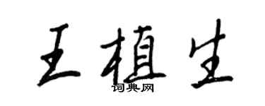王正良王植生行書個性簽名怎么寫