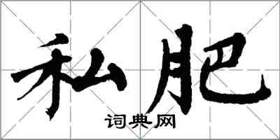 翁闓運私肥楷書怎么寫