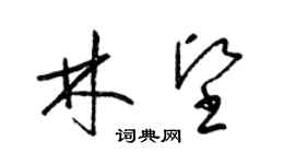 梁錦英林堅草書個性簽名怎么寫