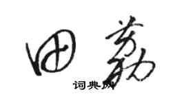 駱恆光田荔草書個性簽名怎么寫