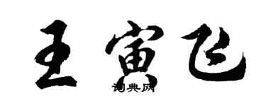 胡問遂王寅飛行書個性簽名怎么寫
