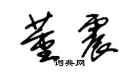 朱錫榮董震草書個性簽名怎么寫