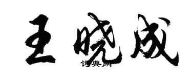 胡問遂王曉成行書個性簽名怎么寫