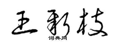 曾慶福王新枝草書個性簽名怎么寫