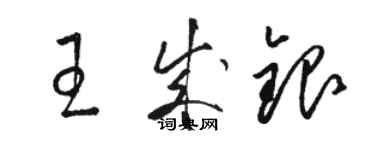 駱恆光王成銀草書個性簽名怎么寫
