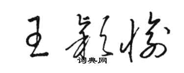 駱恆光王穎愉草書個性簽名怎么寫