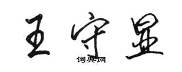 駱恆光王守顯行書個性簽名怎么寫