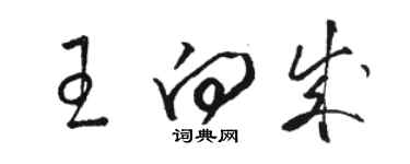 駱恆光王向成草書個性簽名怎么寫