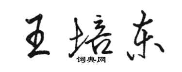 駱恆光王培東行書個性簽名怎么寫