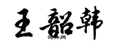 胡問遂王韶韓行書個性簽名怎么寫