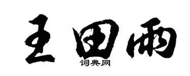 胡問遂王田雨行書個性簽名怎么寫