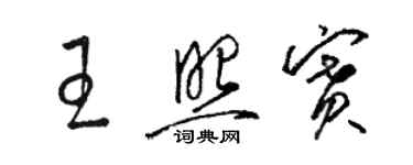 駱恆光王照賽草書個性簽名怎么寫