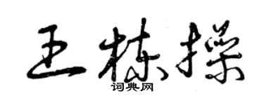 曾慶福王棟操草書個性簽名怎么寫