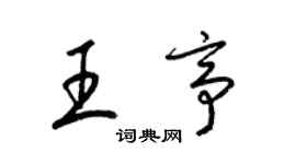 梁錦英王亭草書個性簽名怎么寫