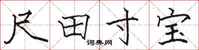 駱恆光尺田寸寶楷書怎么寫