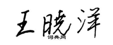 王正良王曉洋行書個性簽名怎么寫