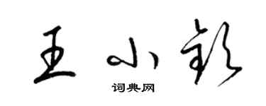 梁錦英王小欽草書個性簽名怎么寫