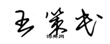 朱錫榮王策民草書個性簽名怎么寫