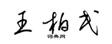 梁錦英王柏民草書個性簽名怎么寫