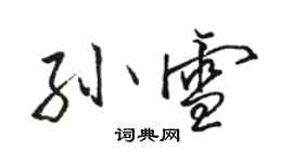 駱恆光孫雪行書個性簽名怎么寫