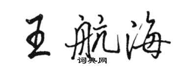 駱恆光王航海行書個性簽名怎么寫