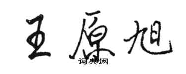 駱恆光王原旭行書個性簽名怎么寫