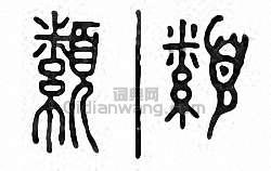金石大字典的篆刻印章纇