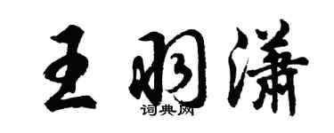 胡問遂王羽瀟行書個性簽名怎么寫