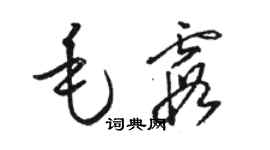 駱恆光毛霞草書個性簽名怎么寫