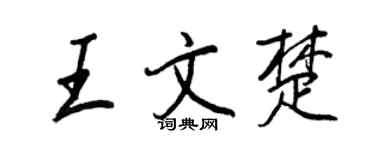 王正良王文楚行書個性簽名怎么寫
