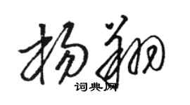 駱恆光楊翔草書個性簽名怎么寫