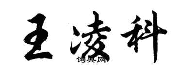 胡問遂王凌科行書個性簽名怎么寫