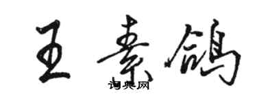 駱恆光王素鴿行書個性簽名怎么寫