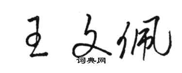 駱恆光王文佩草書個性簽名怎么寫