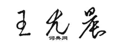 駱恆光王尤晨草書個性簽名怎么寫