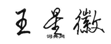 駱恆光王星徽行書個性簽名怎么寫