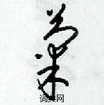 梁錦英寫的硬筆草書菊