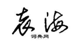 朱錫榮袁海草書個性簽名怎么寫