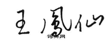 駱恆光王鳳仙草書個性簽名怎么寫