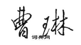 駱恆光曹琳行書個性簽名怎么寫