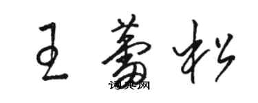 駱恆光王蕾松草書個性簽名怎么寫