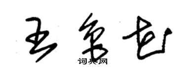 朱錫榮王魯花草書個性簽名怎么寫