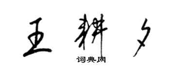 梁錦英王耕夕草書個性簽名怎么寫