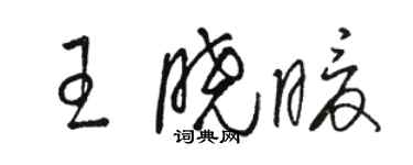 駱恆光王曉暖草書個性簽名怎么寫
