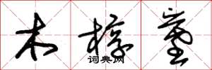 朱錫榮木槨墓草書怎么寫
