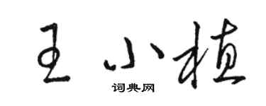 駱恆光王小植草書個性簽名怎么寫